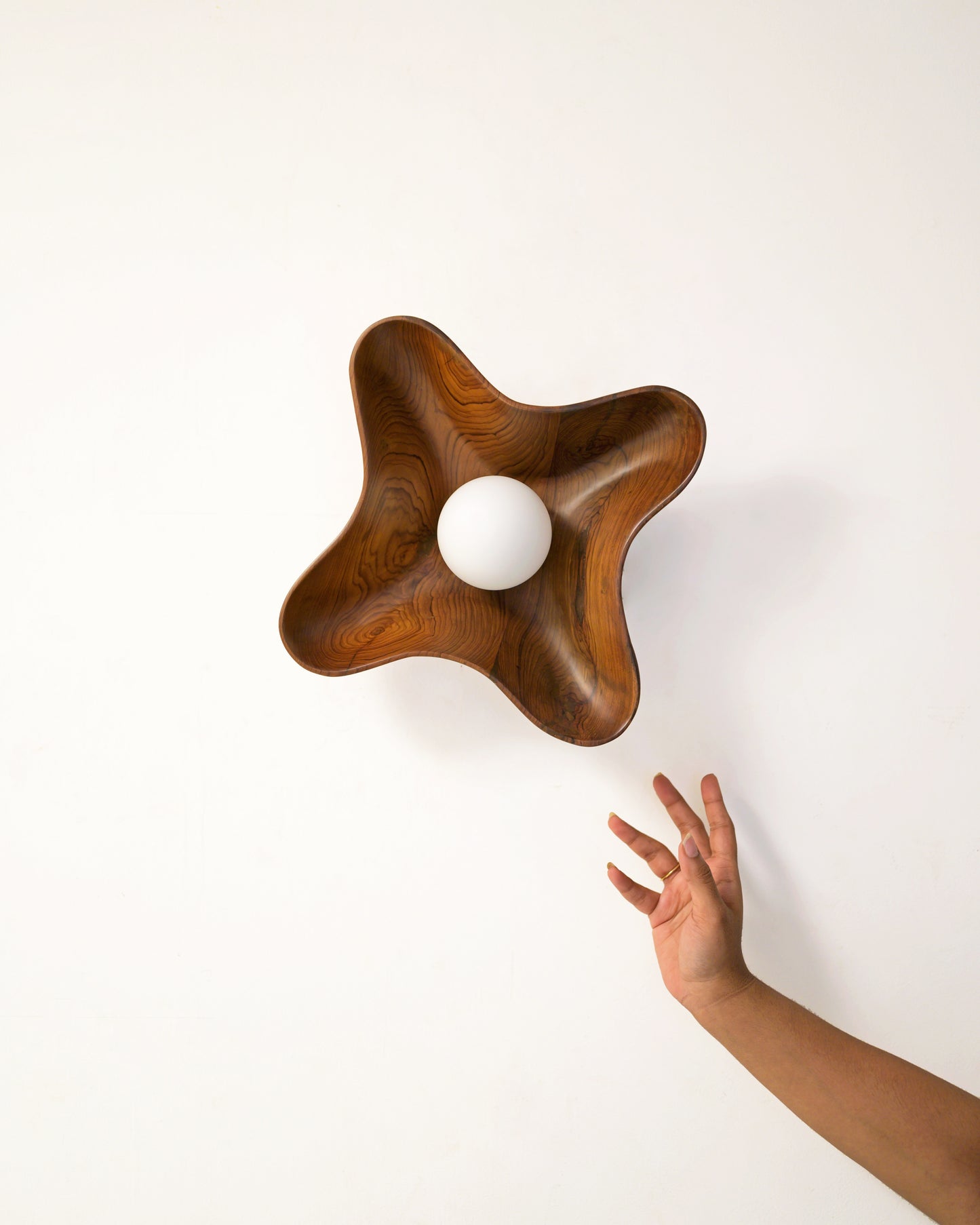 Compass Globe Wall Light - Studio Indigene
