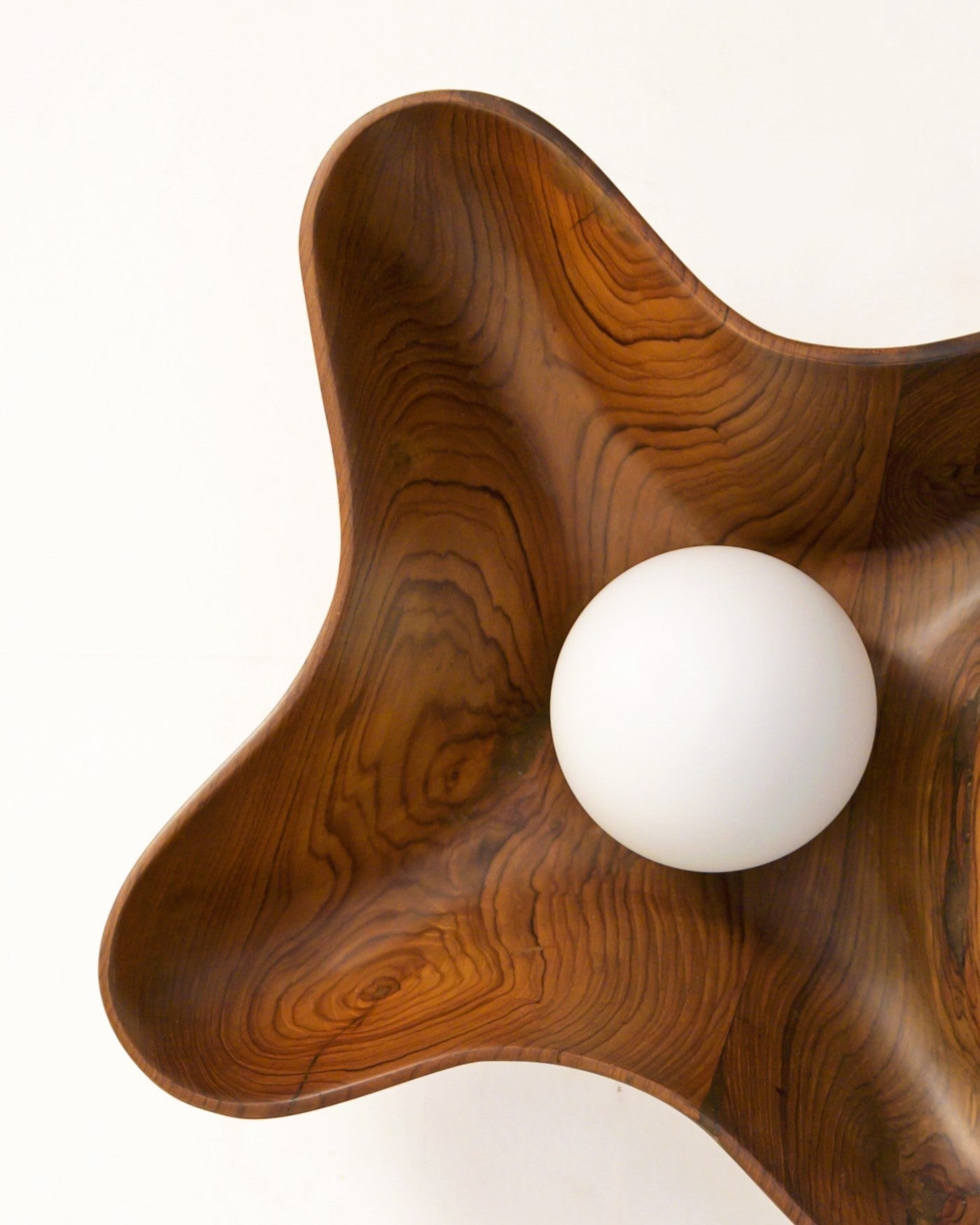 Compass Globe Wall Light - Studio Indigene