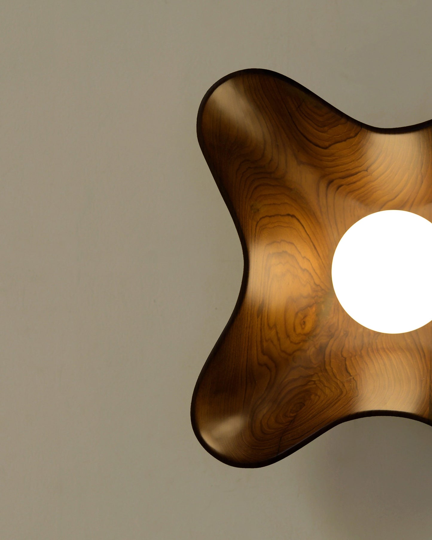 Compass Globe Wall Light - Studio Indigene