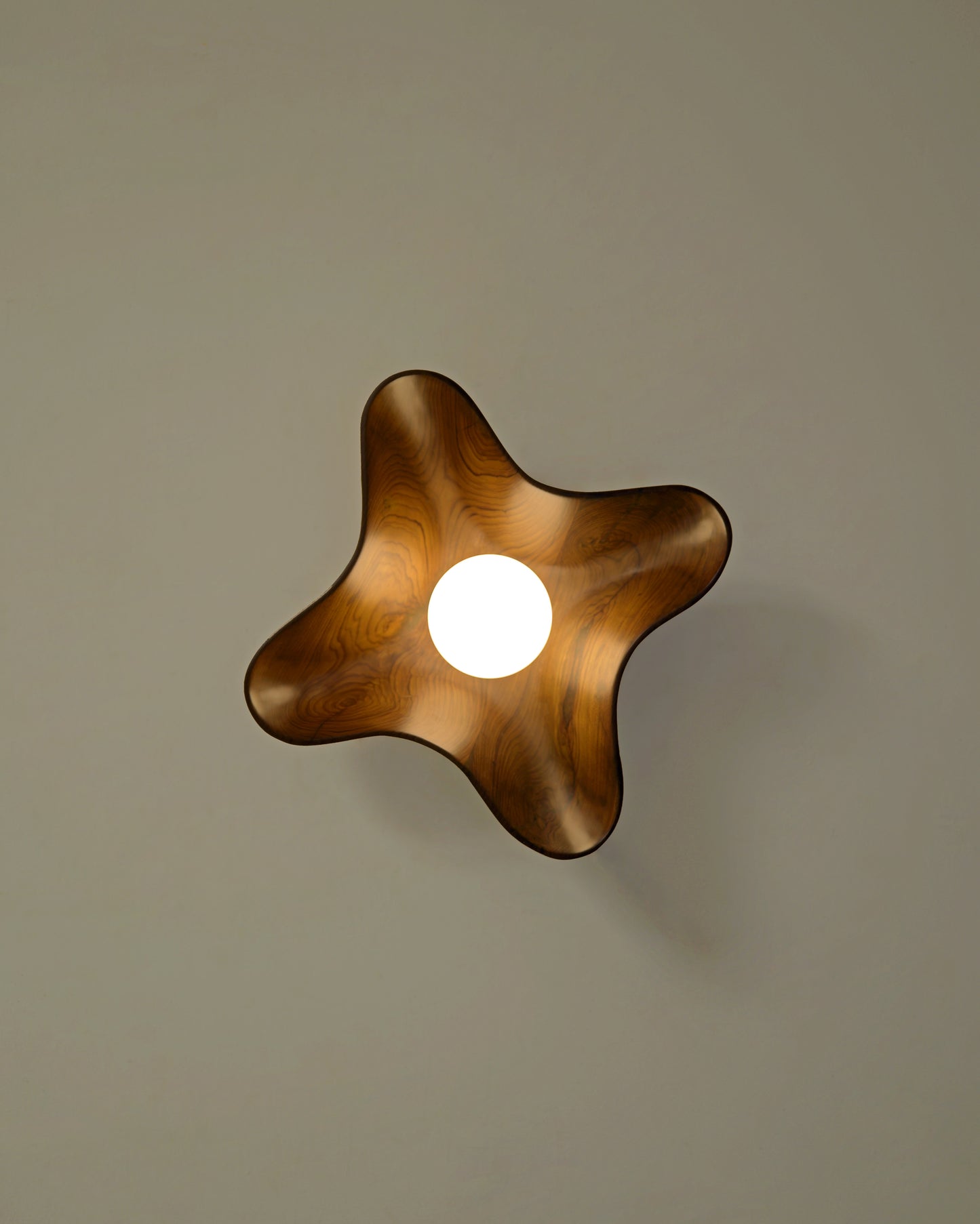 Compass Globe Wall Light - Studio Indigene