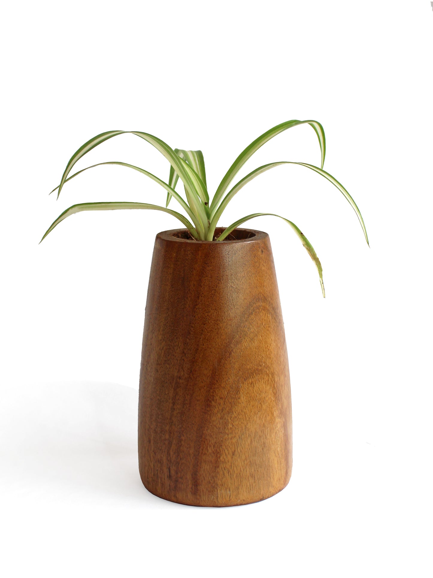 Conical Planter - Studio Indigene