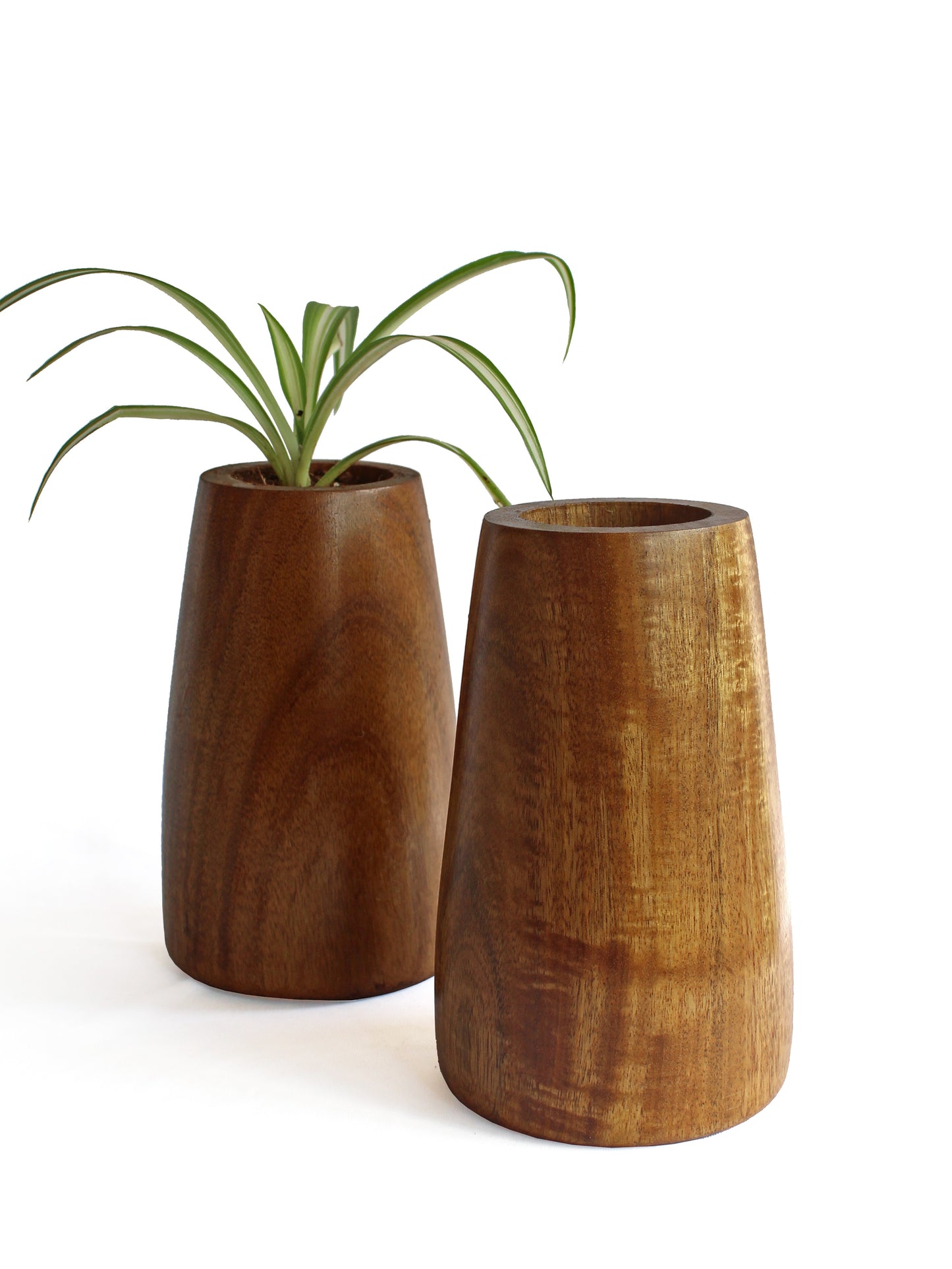 Conical Planter - Studio Indigene