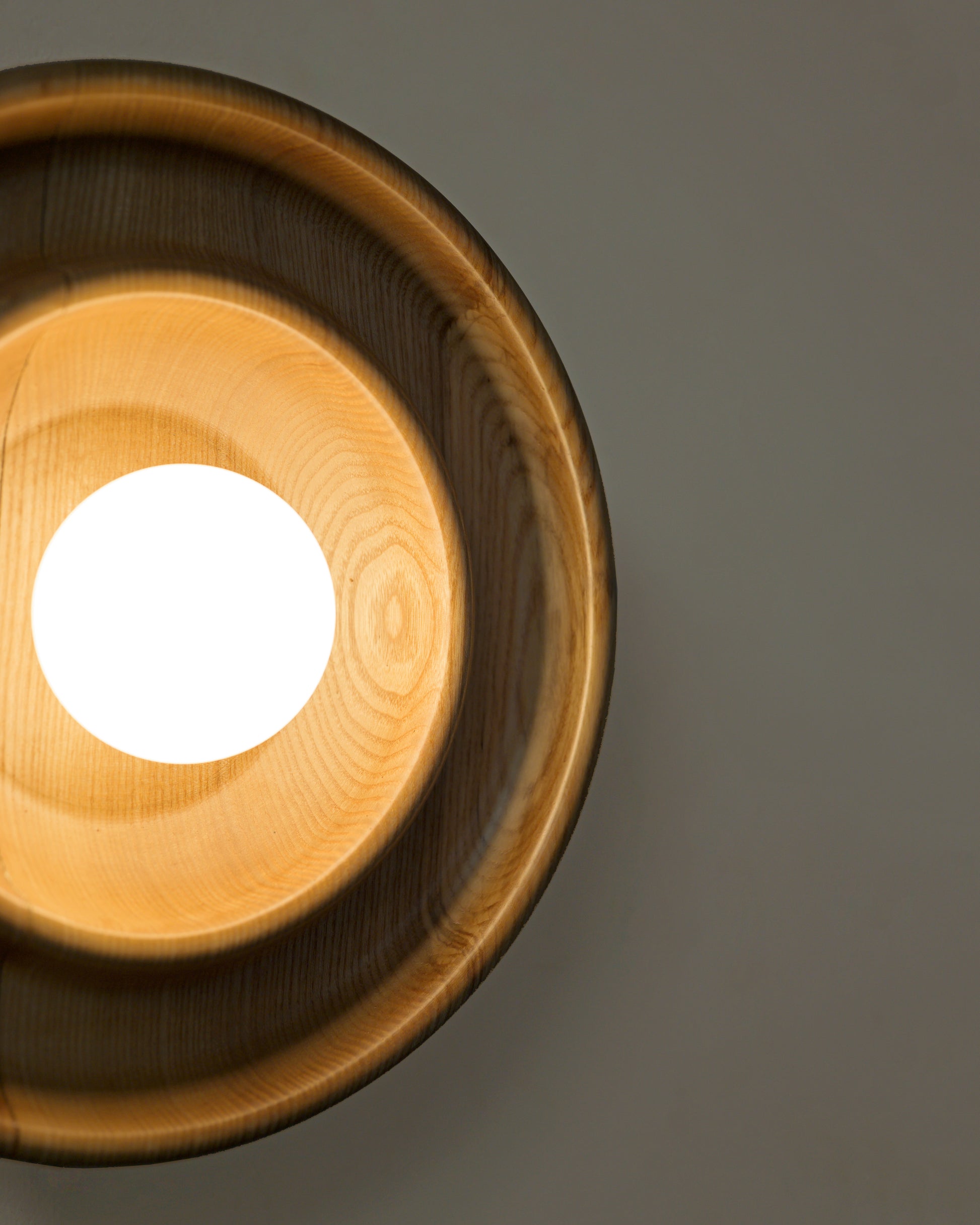 Discus Wall Light - White Ash - Studio Indigene