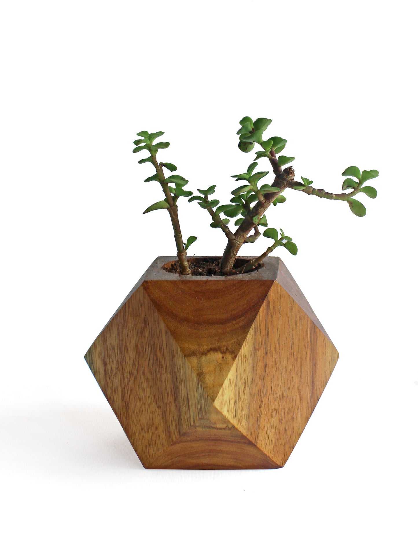 Faceted Cube Wooden Planter - Studio Indigene