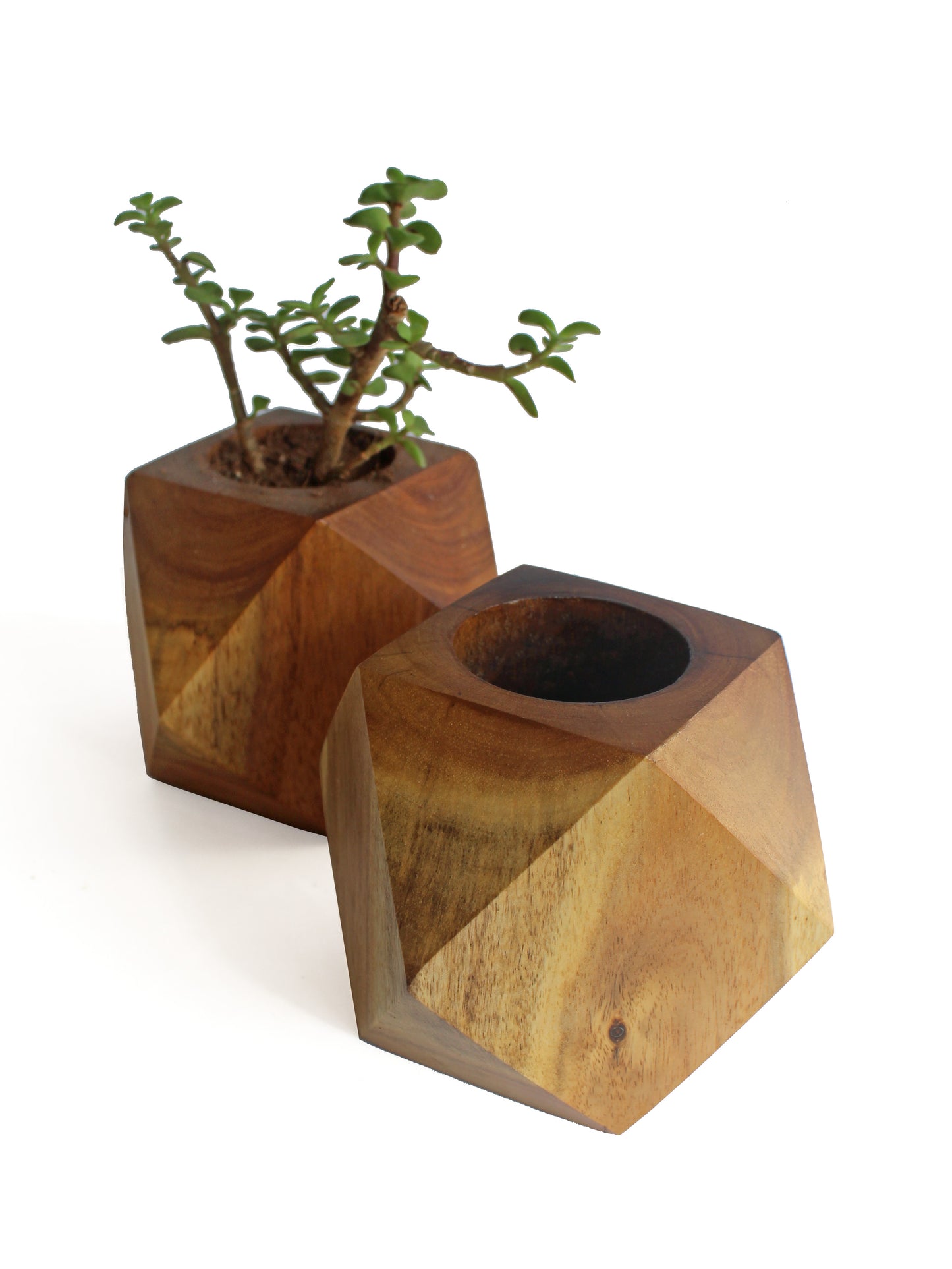 Faceted Cube Wooden Planter - Studio Indigene