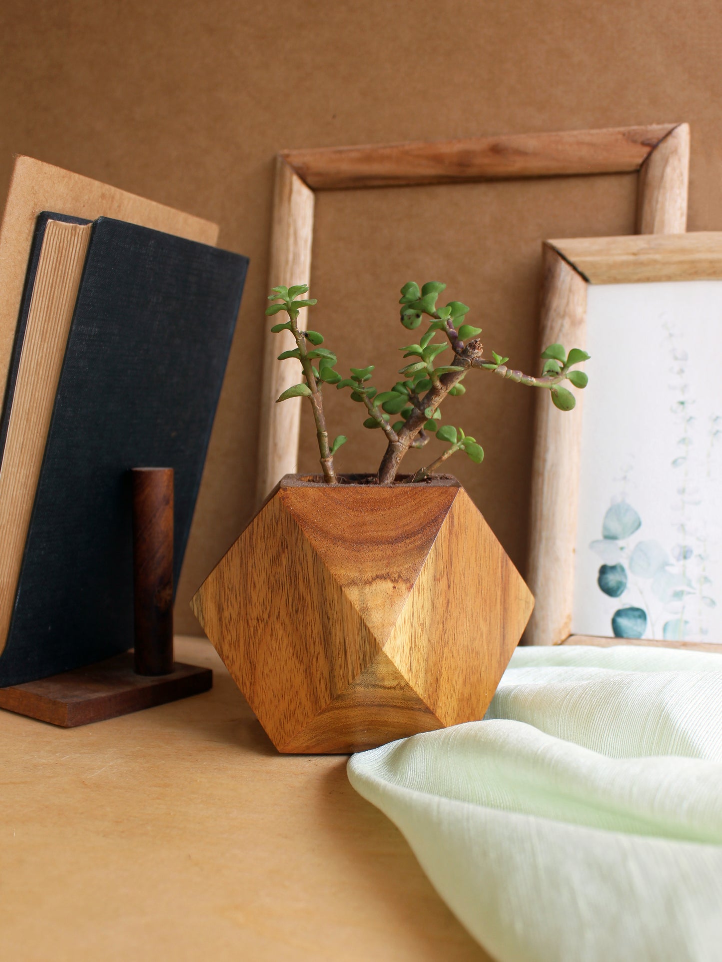 Faceted Cube Wooden Planter - Studio Indigene