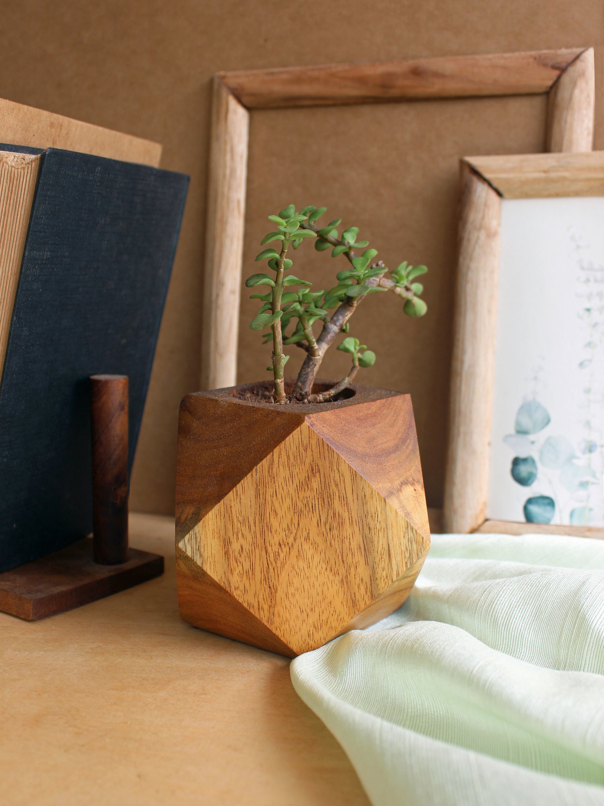 Faceted Cube Wooden Planter - Studio Indigene