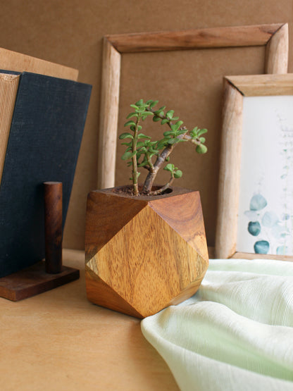 Faceted Cube Wooden Planter - Studio Indigene