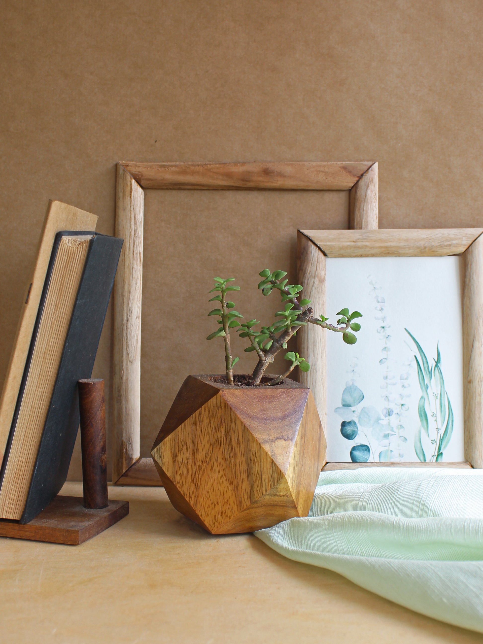 Faceted Cube Wooden Planter - Studio Indigene