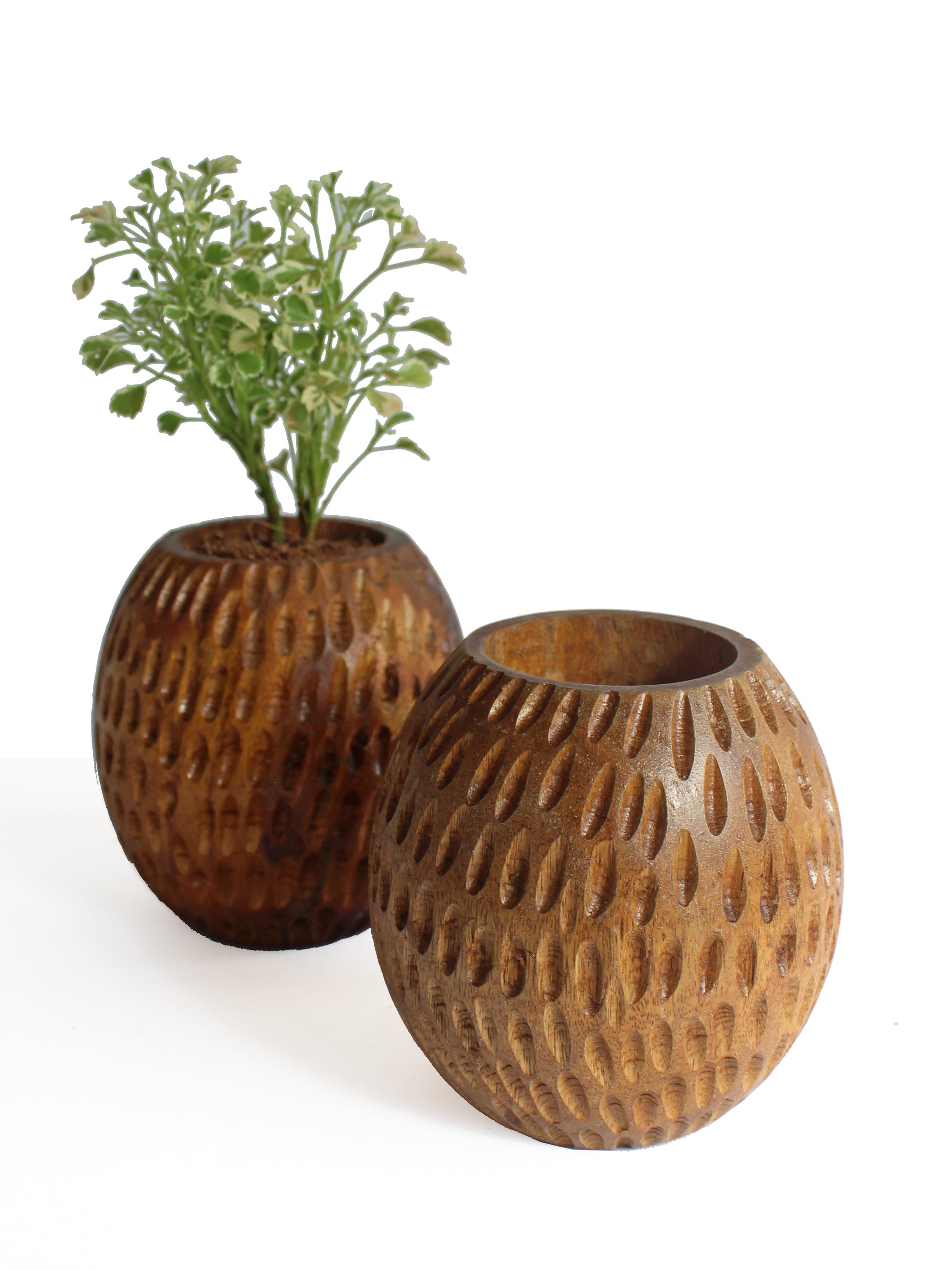 Carved Spherical Planter - Studio Indigene